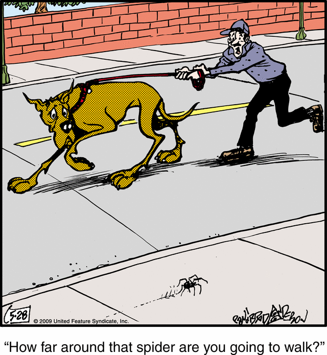 marmaduke